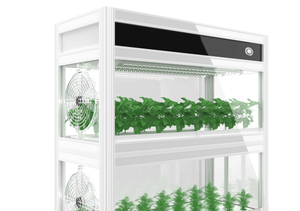 O gabinete para plantas hidropônicas com luz e ventilação para agricultura urbana