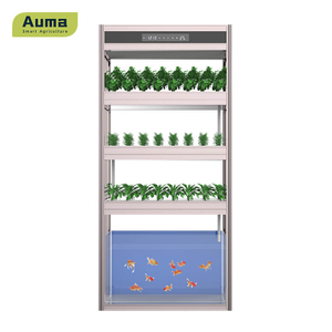 Auma Aquaponic modelo AM3 é uma boa maneira de acessar vegetais e peixes orgânicos e frescos